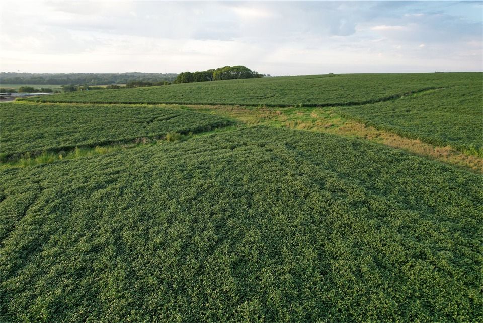 Listing Photo: Lot 2 - Drone Pic (13)